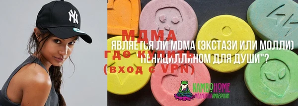 индика Алзамай