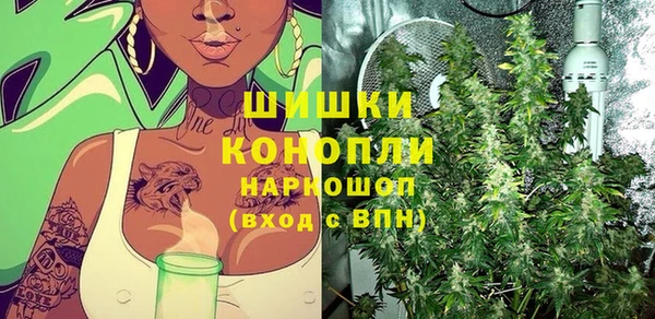 прущий лед Ряжск